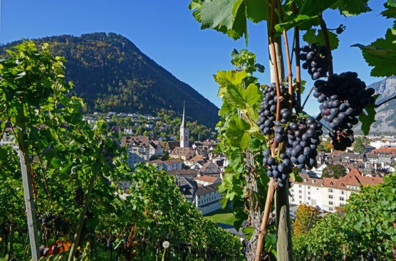 Chur: Altstadtführung - A Close Look at the Chur Altstadtführung Experience