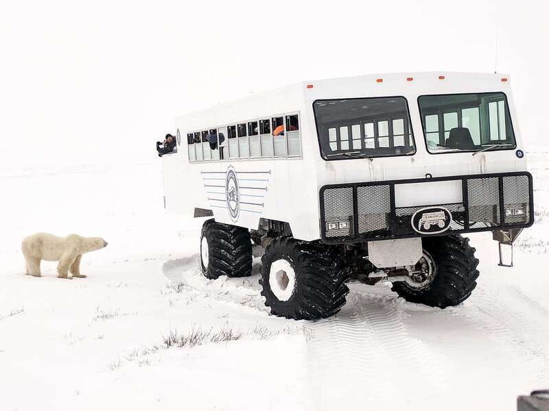 churchill-exclusive-tundra-buggy-day-trip
