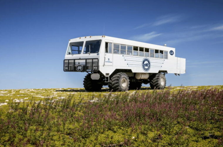 churchill-exclusive-tundra-buggy-day-trip