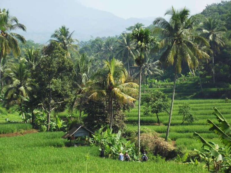 cianjur-downhill-and-countryside-cianjur-cycling-tour
