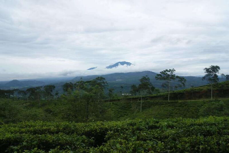 cianjur-full-day-historical-tour-of-gunung-padang-and-falls