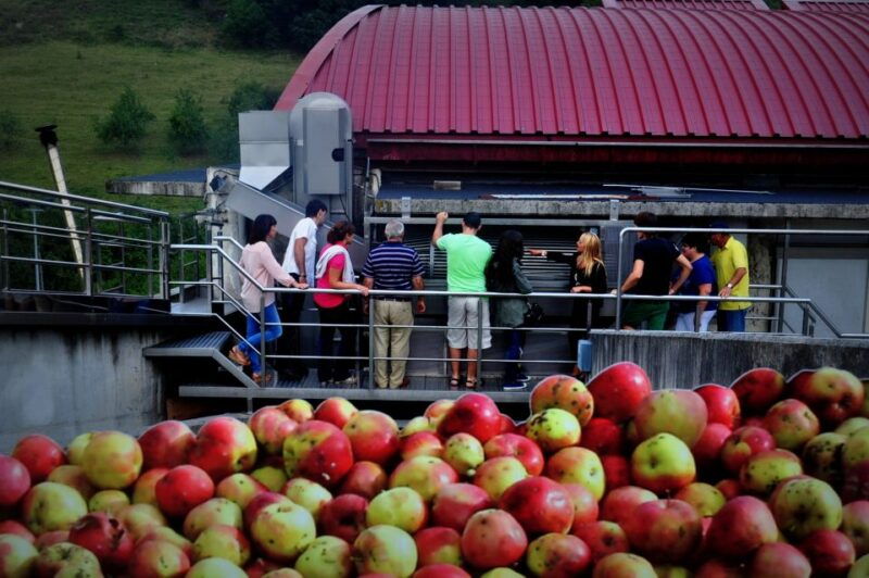 cider-house-experience-from-san-sebastian