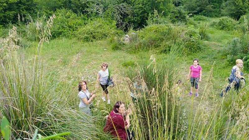 Cilento: discovering the art of broom spinning in Tortorella - Key Points