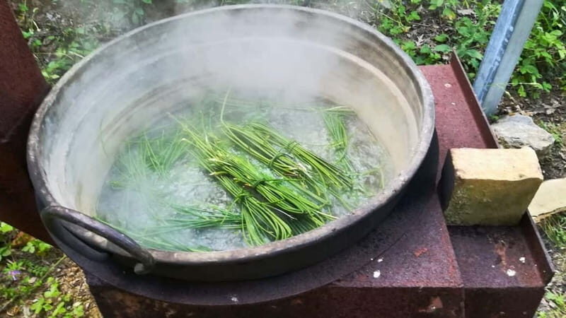 Cilento: discovering the art of broom spinning in Tortorella - Why This Tour Offers Real Value