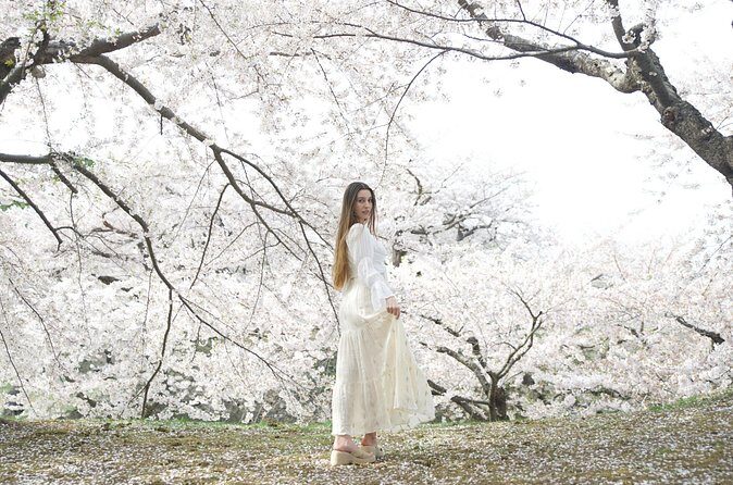 Cinematic Photography and Filmmaking Experience in Nakajima Park - Practical Details & Considerations