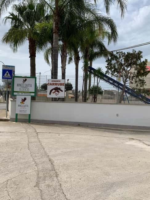 CINISI: OLIVE OIL TOUR- THE OLIVE OIL TASTING AND APERITIF TOUR - Exploring the Olive Oil Tour Experience in Cinisi