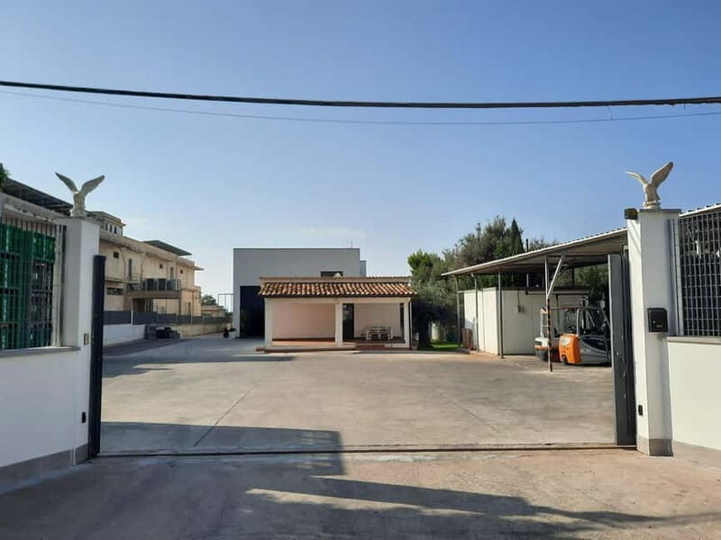 CINISI: OLIVE OIL TOUR- THE OLIVE OIL TASTING AND APERITIF TOUR - The Sum Up