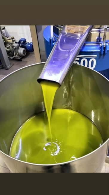 CINISI: OLIVE OIL TOUR- THE OLIVE OIL TASTING AND APERITIF TOUR - FAQ