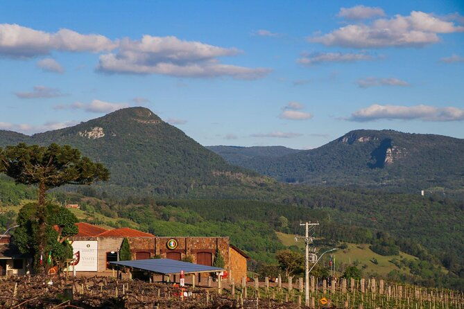 cinnamon-and-gramado-winery-tour-with-special-gift