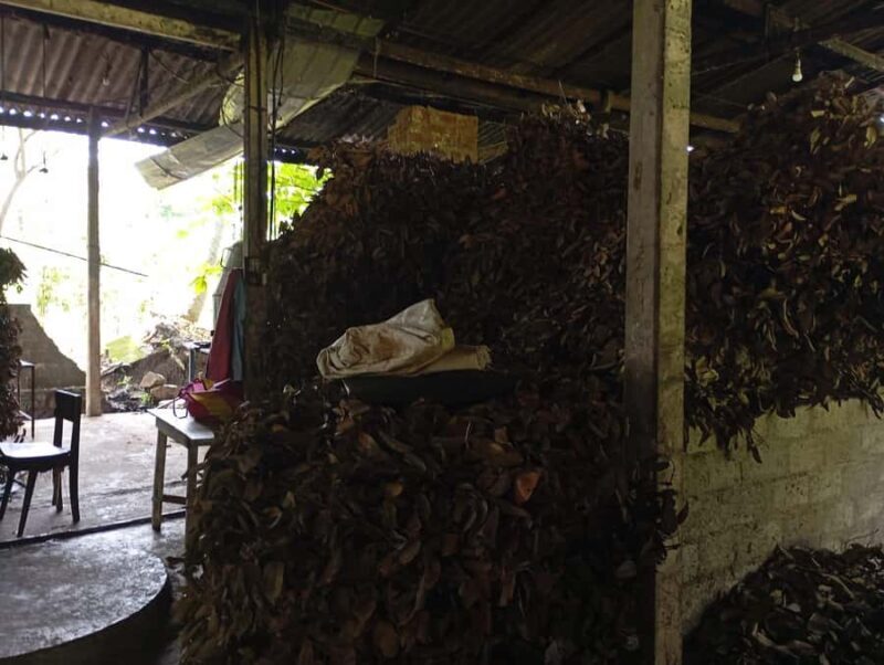 Cinnamon Oil Extraction Tour in Galle - Key Points