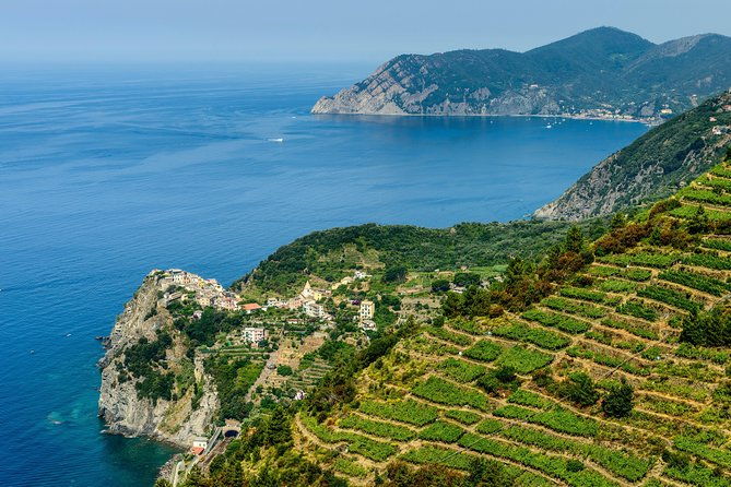 cinque-terre-and-pisa-shared-shore-excursion-from-livorno