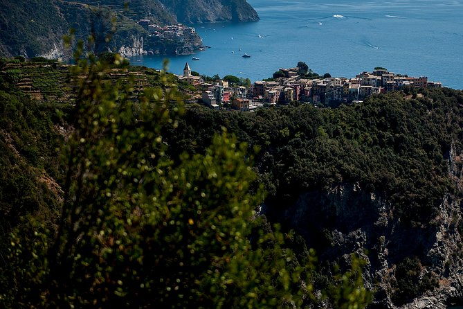 cinque-terre-day-trip-from-florence-with-optional-hiking