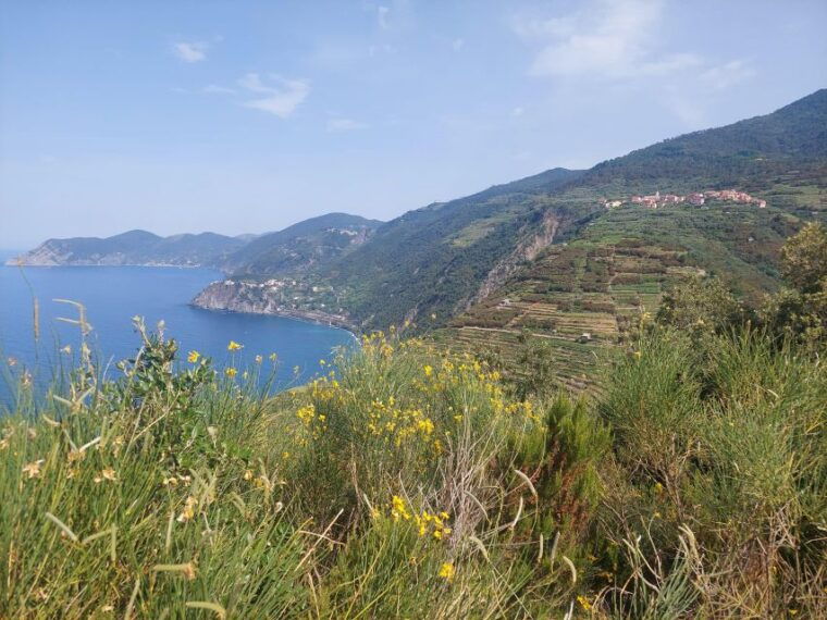 cinque-terre-from-riomaggiore-to-manarola-and-vineyards