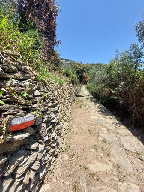 cinque-terre-from-vernazza-to-monterosso-and-sanctuaries