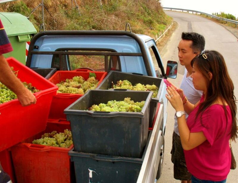 cinque-terre-private-day-trip-from-florence