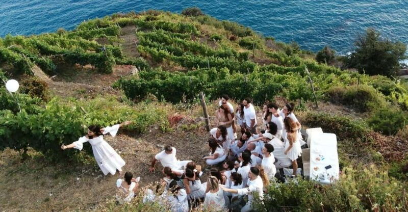 cinque-terre-tasting-in-the-cellar-with-visit-to-vineyards