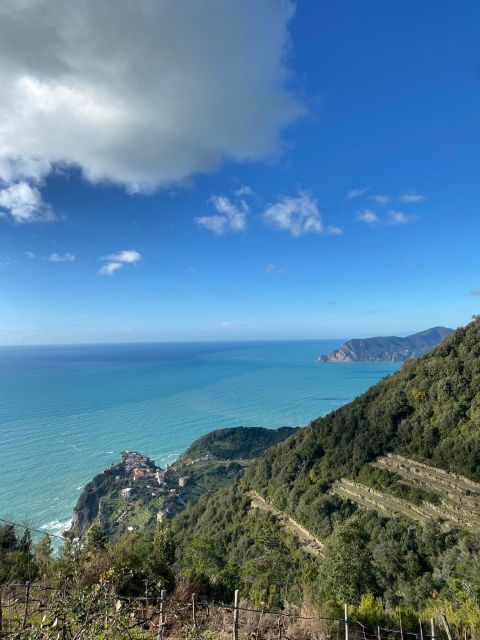 cinque-terre-tour-by-van-from-lucca-pisa-or-la-spezia
