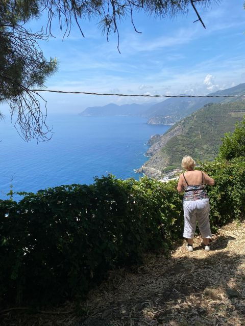 cinque-terre-tour-by-van-from-lucca-pisa-or-la-spezia