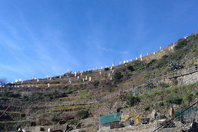 cinque-terre-unforgettable-hiking-experience