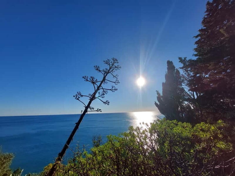 Cinque Terre Villages Walking panoramic tour - Key Points