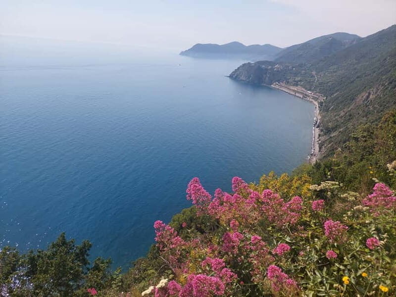 Cinque Terre Villages Walking panoramic tour - Why a Panoramic Walk through Cinque Terre is Worth It