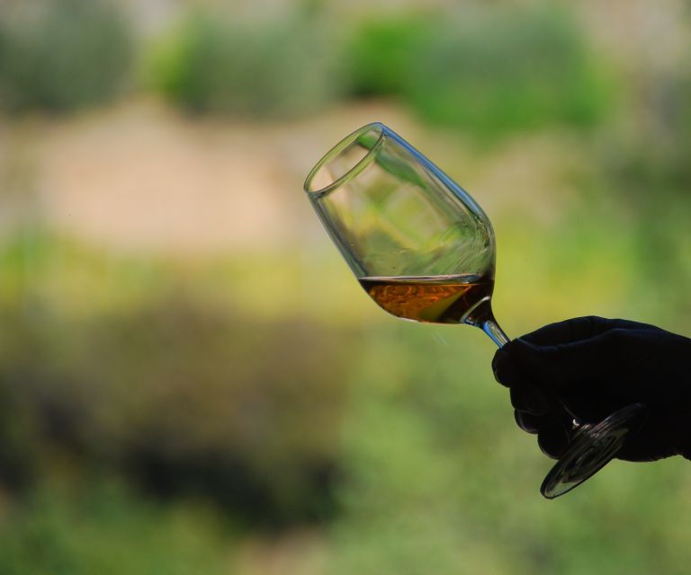 cinque-terre-wine-tasting-in-monterosso