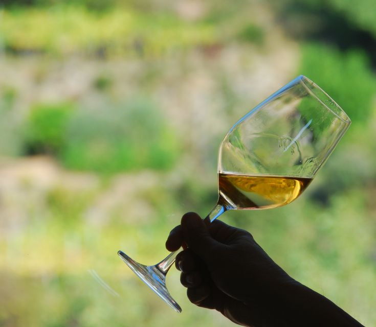 cinque-terre-wine-tasting-in-monterosso