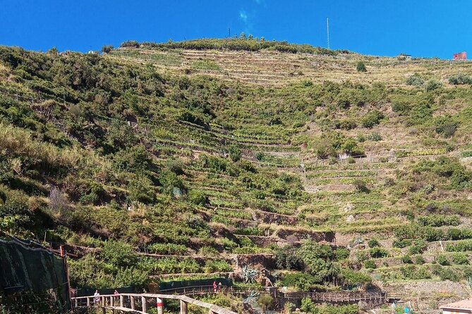cinque-terre-wine-tour-and-tasting-with-the-somelier-in-manarola