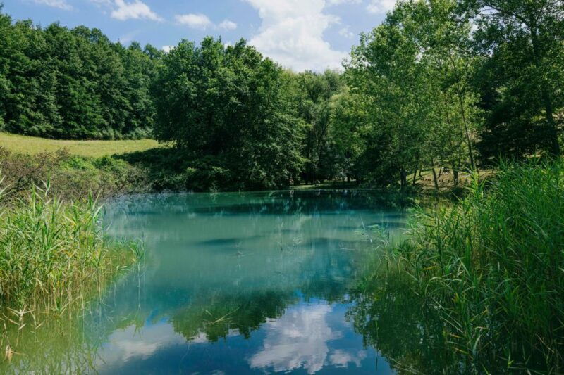 cinta-senese-experience