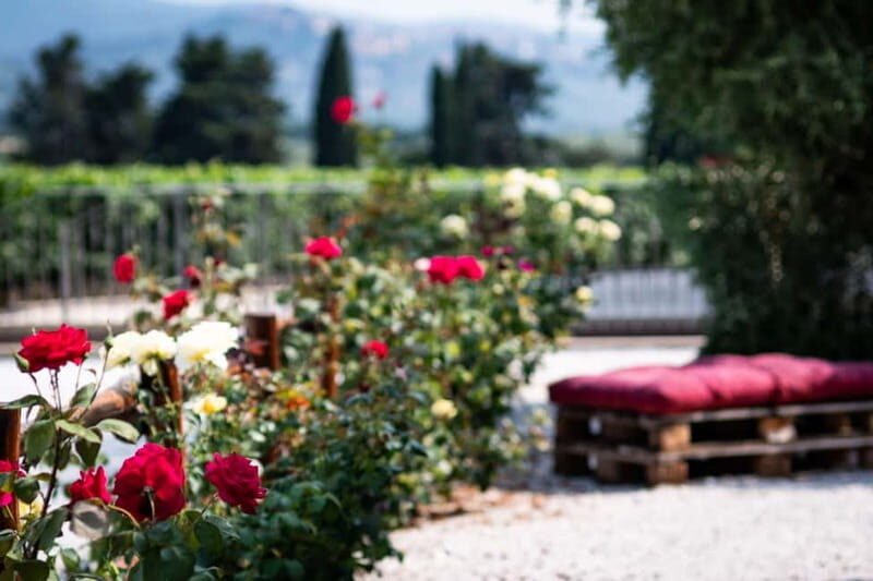 Cioccaie Tour & Monovarietal Wines Tasting - Final Thoughts