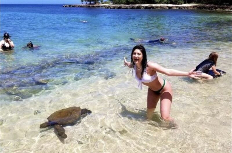 circle-island-swim-with-turtles-and-explore-paradise-oahu