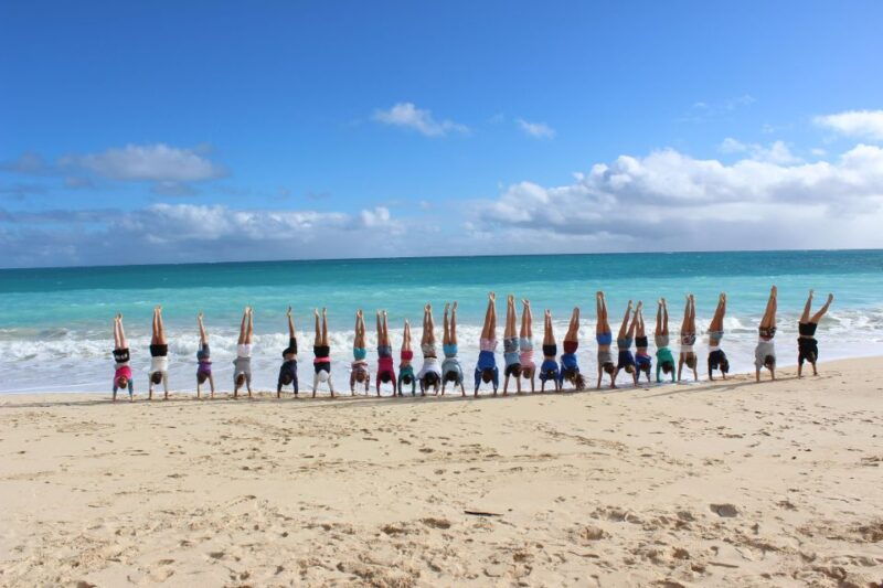 circle-island-swim-with-turtles-and-explore-paradise-oahu