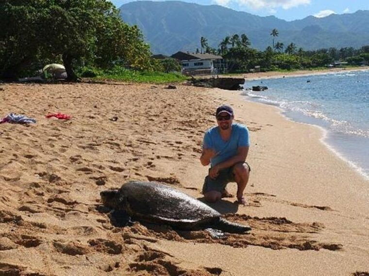 circle-island-swim-with-turtles-and-explore-paradise-oahu