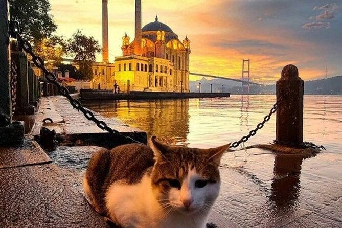 circle-istanbul-extraordinary-istanbul