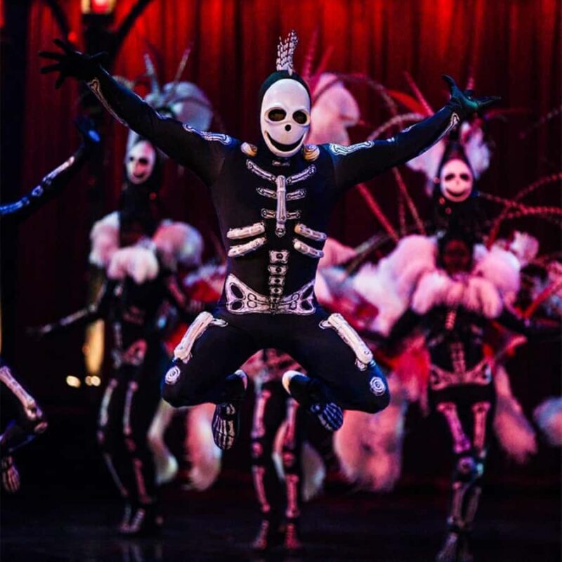 Cirque du Soleil KOOZA Show Ticket - An In-Depth Look at Cirque du Soleil KOOZA in Singapore