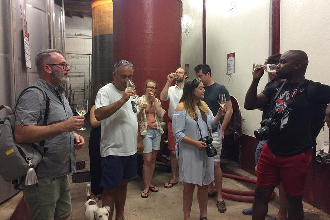 cite-de-carcassonne-and-wine-tasting-private-day-tour-from-toulouse