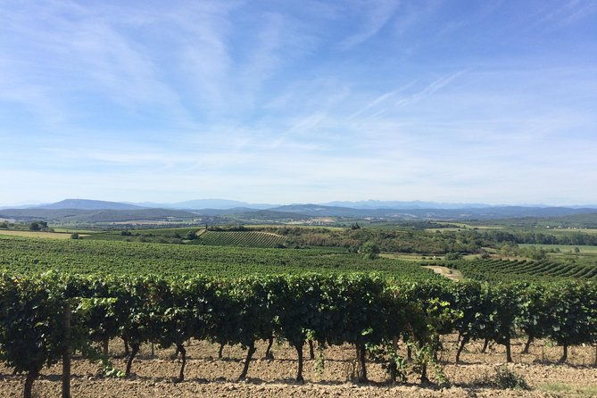 cite-de-carcassonne-and-wine-tasting-private-day-tour-from-toulouse