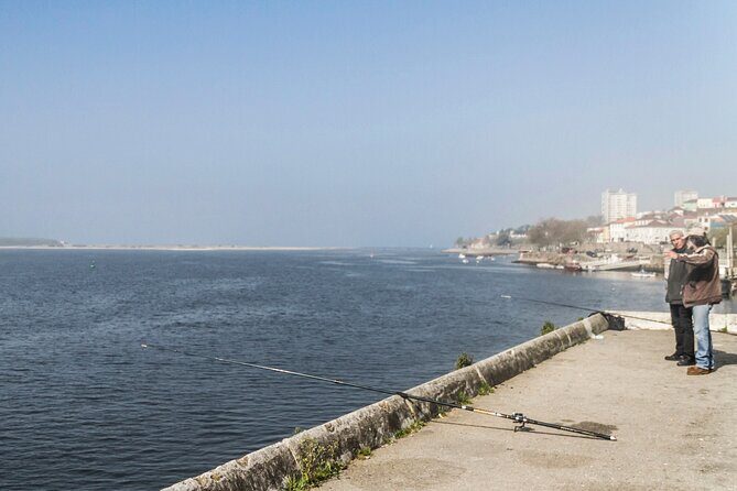 City Bike Rental in Porto - The Practicality of a Bike Rental in Porto