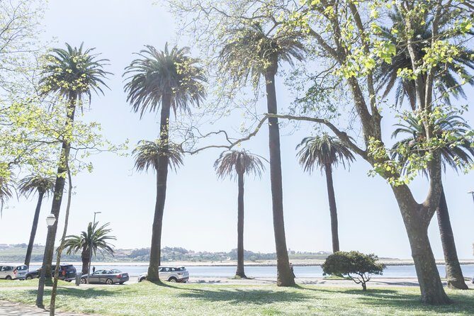 City Bike Rental in Porto - Who Should Book This Experience?