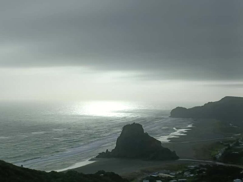 City & Coast & Country  A Relaxed Day Tour from Auckland - A Detailed Look at the Itinerary