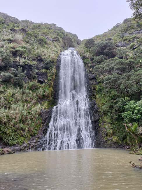 City & Coast & Country  A Relaxed Day Tour from Auckland - FAQs