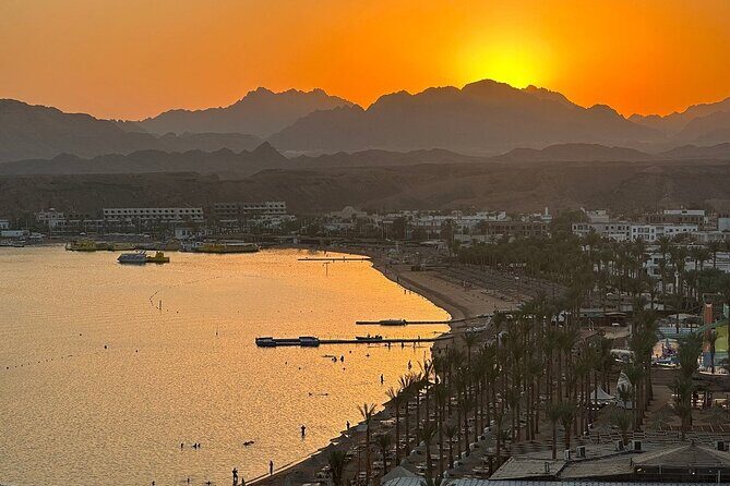 City Exploration and Old Market Shopping in Sharm El Sheikh - Final Thoughts