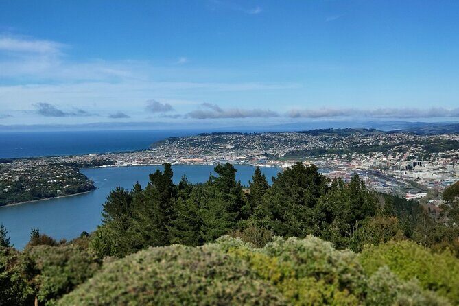 City Highlights, Larnach Castle & Peninsula Views - Authentic Experiences and Insider Tips
