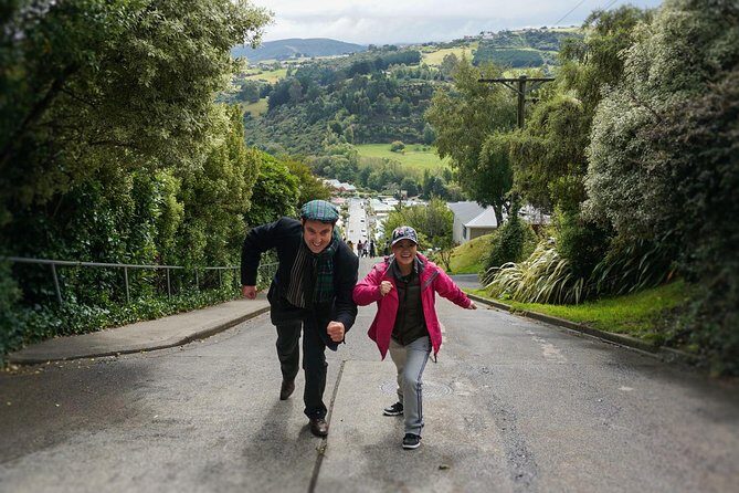 City Highlights, Larnach Castle & Peninsula Views - Final Thoughts: Who Will Love This Tour?