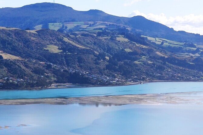 City Highlights, Larnach Castle & Peninsula Views - Wrapping Up