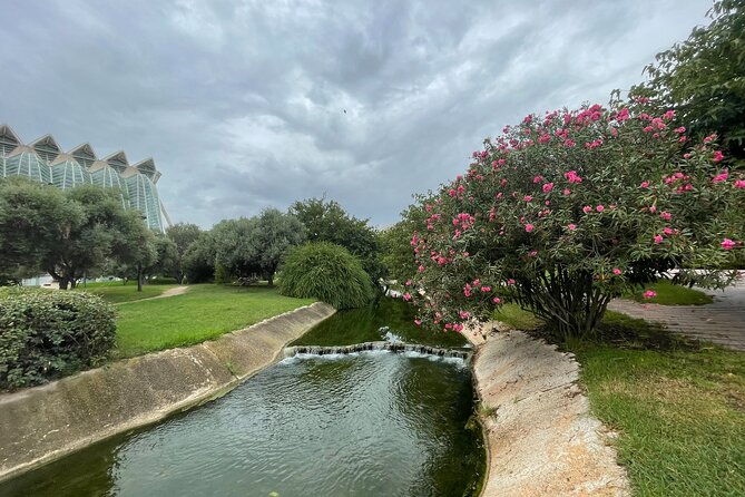 city-of-arts-sciences-private-guided-tour-on-bike-or-e-step