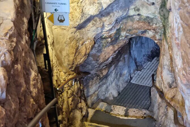 City of David Private Guided Tour - The Experience in Detail: Unveiling Jerusalem’s Earliest Foundations