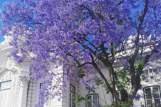 city-of-neighborhoods-tour-ii-by-tuk-tuk-2