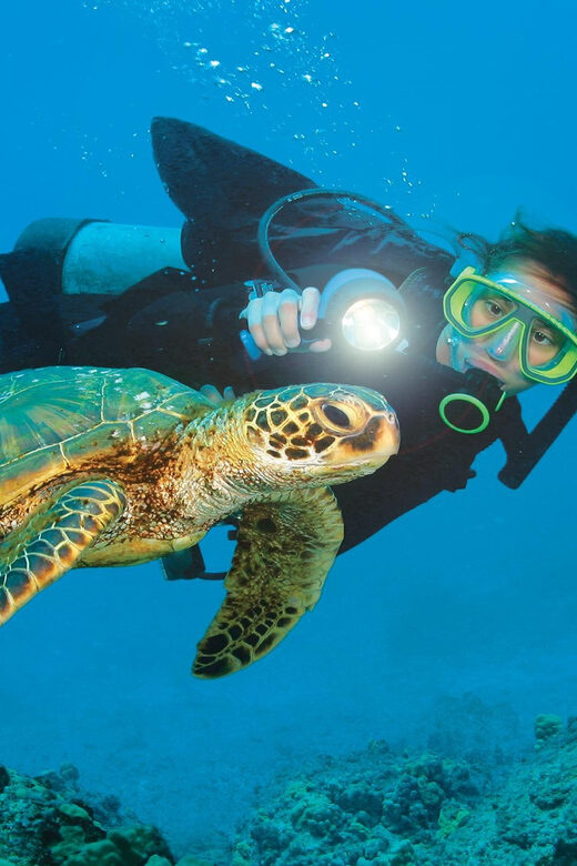 City Of Side: Dolphin Island Boat or Side Boat Tour Options - Who Will Love This Tour?