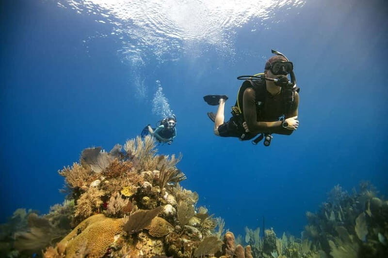 City of Side: Scuba Diving Underwater Museum with Pickup - What to Expect on the Side Underwater Museum Tour